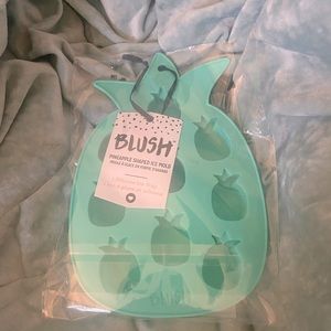 Blush Pineapple Shaped Ice Mold